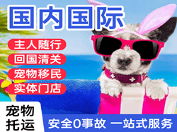 喀什徕宁航空快递国际宠物托运 【国